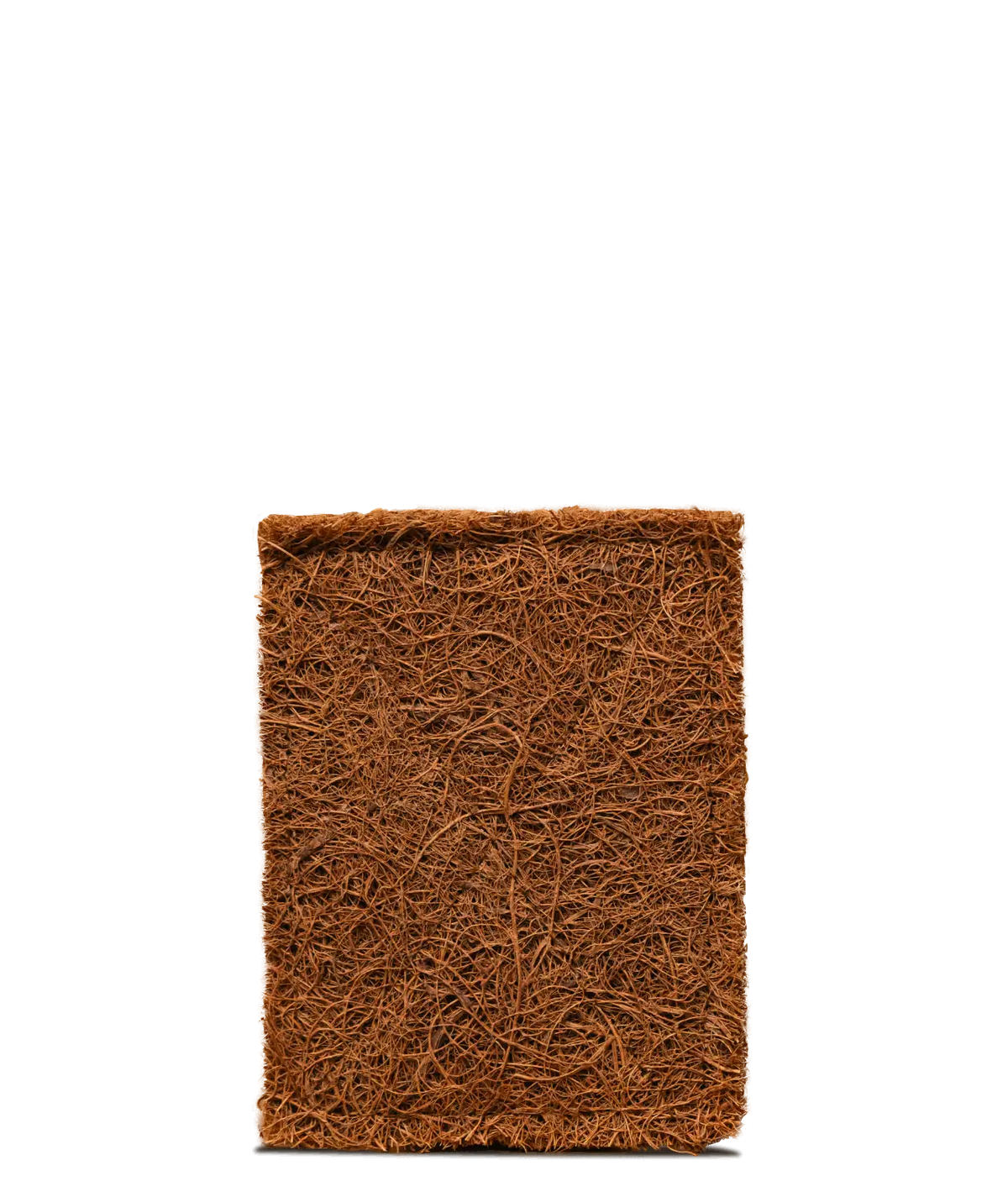 Natural Square Scrubber